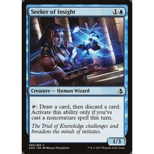 Seeker of Insight