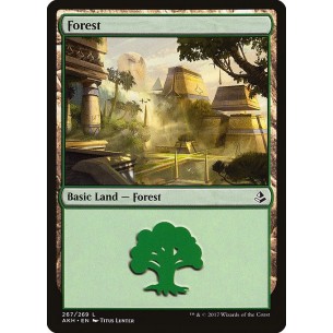 Forest