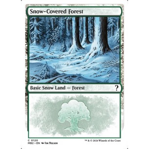 Snow-Covered Forest