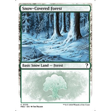 Snow-Covered Forest