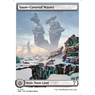 Snow-Covered Wastes