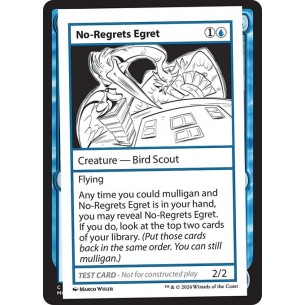 No-Regrets Egret