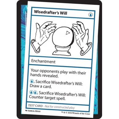 Wisedrafter's Will