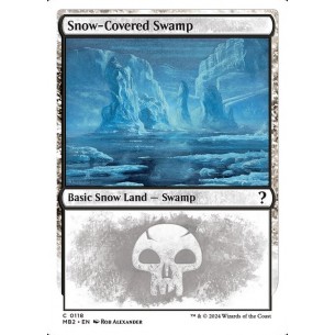 Snow-Covered Swamp