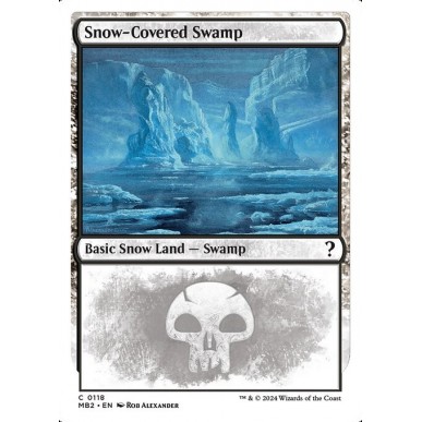 Snow-Covered Swamp