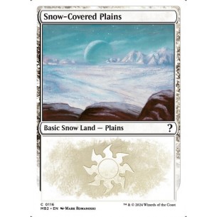Snow-Covered Plains