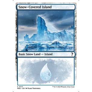 Snow-Covered Island