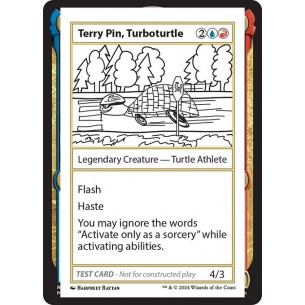Terry Pin, Turboturtle