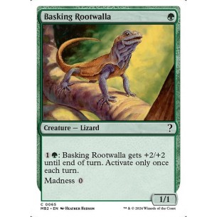 Basking Rootwalla