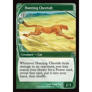 Hunting Cheetah