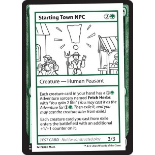 Starting Town NPC