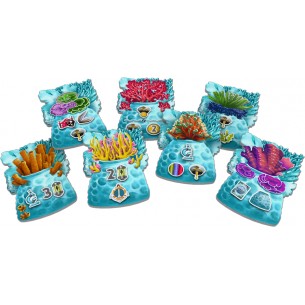 Reef Project (ENG) 2