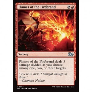 Flames of the Firebrand