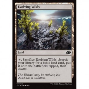 Evolving Wilds