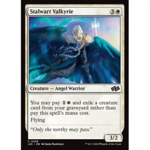 Stalwart Valkyrie
