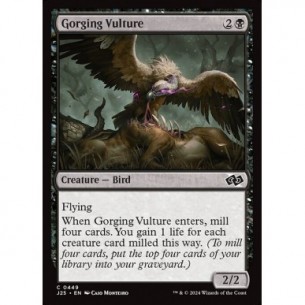 Gorging Vulture