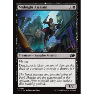 Midnight Assassin