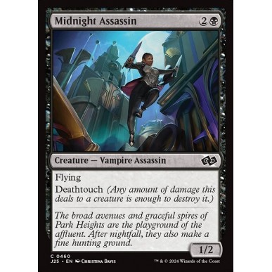 Midnight Assassin