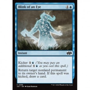 Blink of an Eye