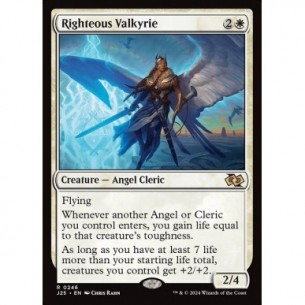 Righteous Valkyrie
