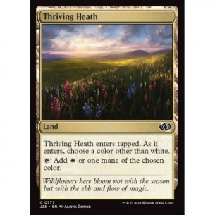 Thriving Heath