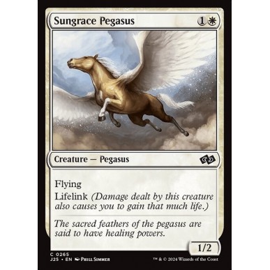 Sungrace Pegasus