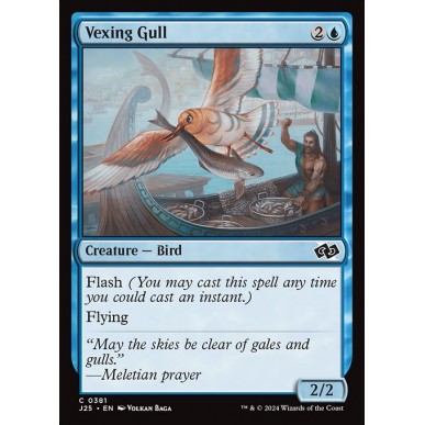 Vexing Gull