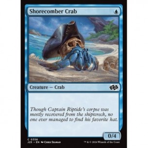 Shorecomber Crab