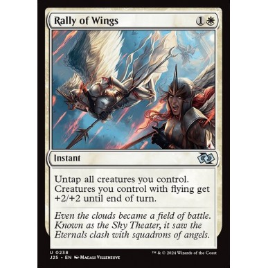 Rally of Wings