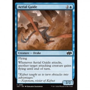 Aerial Guide