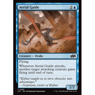 Aerial Guide