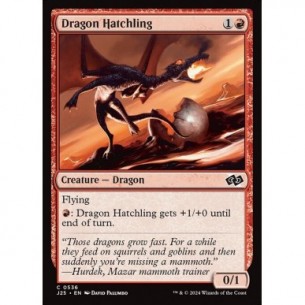 Dragon Hatchling