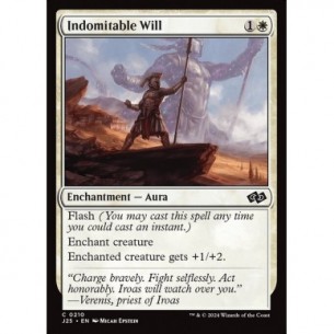 Indomitable Will