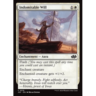 Indomitable Will
