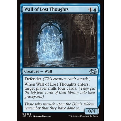 Wall of Lost Thoughts