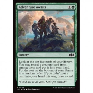 Adventure Awaits