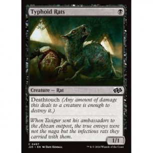 Typhoid Rats