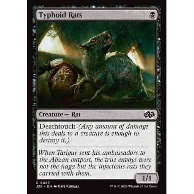 Typhoid Rats