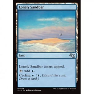Lonely Sandbar