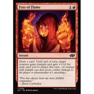 Fists of Flame