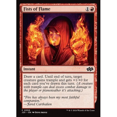 Fists of Flame