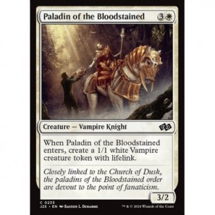 Paladin of the Bloodstained