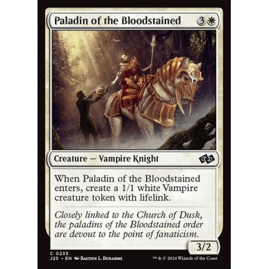 Paladin of the Bloodstained