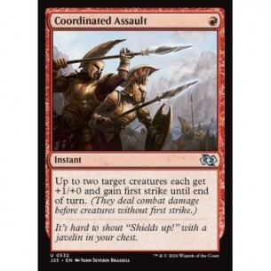 Coordinated Assault