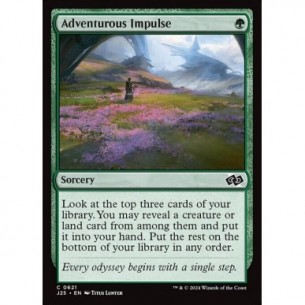 Adventurous Impulse