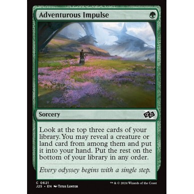 Adventurous Impulse