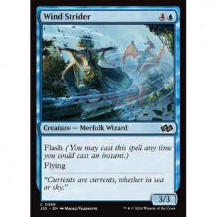 Wind Strider