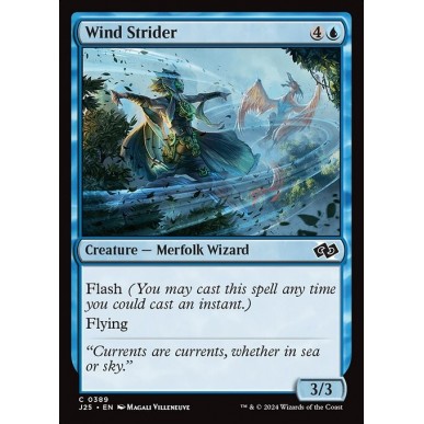 Wind Strider