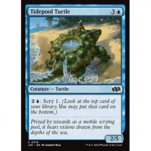 Tidepool Turtle