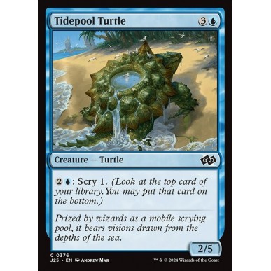 Tidepool Turtle